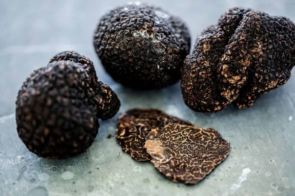 Black Spring Truffles from France can be bought at winery By Stokkebye